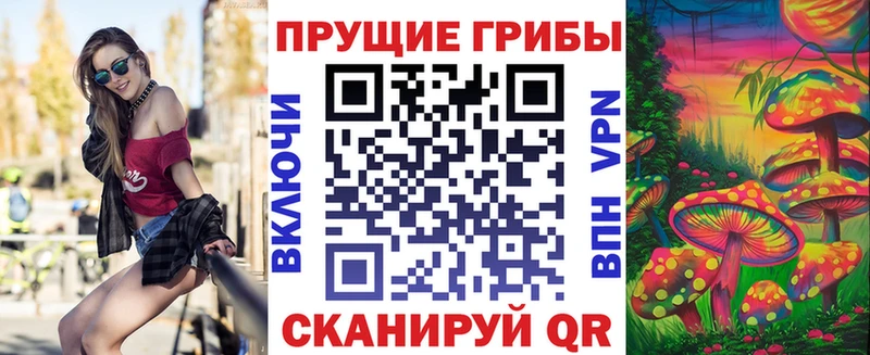 Псилоцибиновые грибы прущие грибы  наркота  Барнаул 