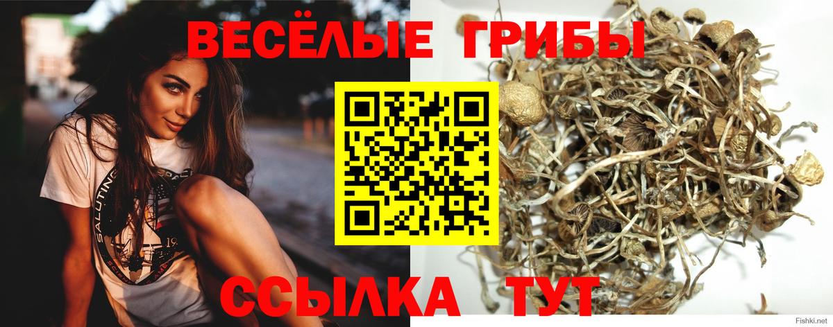 Барнаул  Псилоцибиновые грибы мицелий  Вход с VPN 
